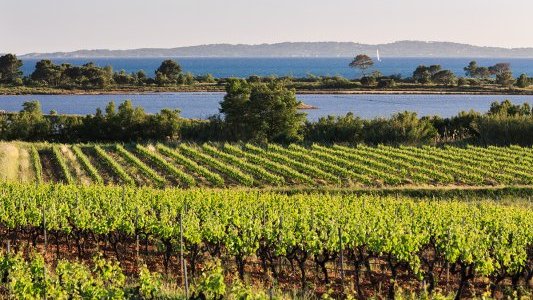 La Londe-les-Maures plébiscitée par les Français