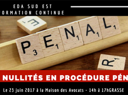Formation EDA Sud Est : Les nullités en procédure pénale