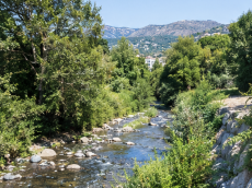 Riou de l'Argentière : une enquête publique pour l'entretien du cours d'eau