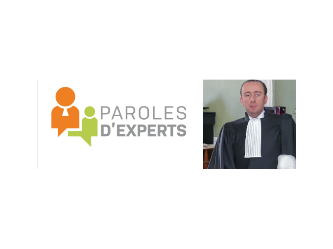 La responsabilité pénale