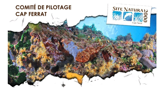 Les acteurs maritimes réunis hier à Villefranche-sur-Mer en comité de pilotage du site Natura 2000 Cap Ferrat