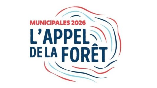 Municipales 2026 : les Communes forestières PACA interpellent les candidats avec « L'Appel de la forêt »