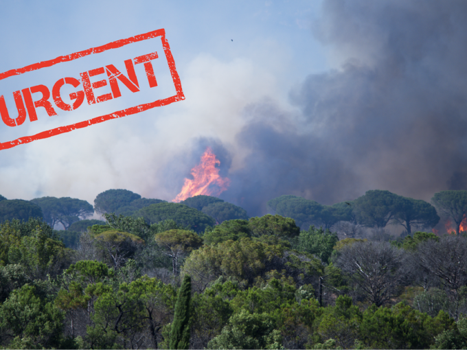 Incendies en PACA : (…)