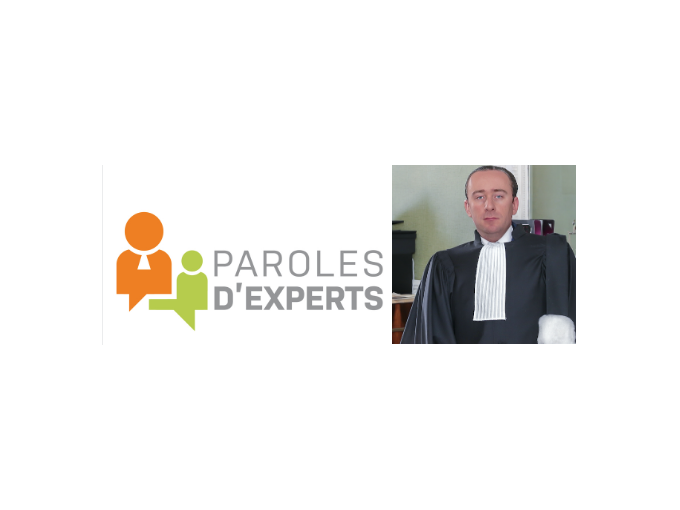 La responsabilité pénale
