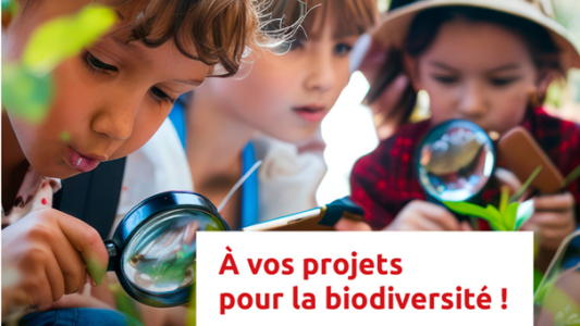Protection de la biodiversité : la Caisse d'Épargne Côte d'Azur lance un appel à projets local 