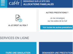 RSA : les bons et les mauvais points de la Cour des comptes