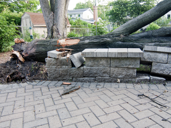Les tempêtes Ciaran (…)