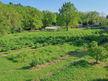 Tradition, science et agriculture régénératrice : MANE lance son jardin expérimental