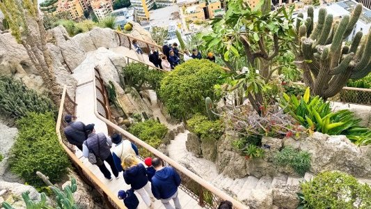 Un balcon sur la Méditerranée retrouve son public : réouverture du Jardin Exotique de Monaco