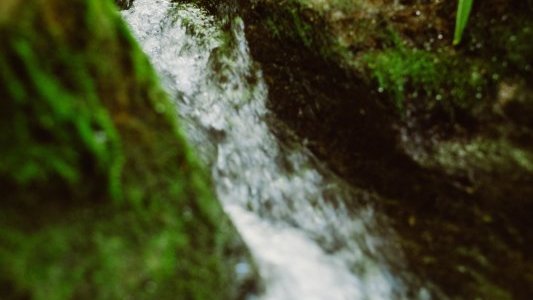 21,8 millions d'euros investis par l'agence de l'eau au 2e trimestre 2020 en Paca pour les projets en faveur de l'eau