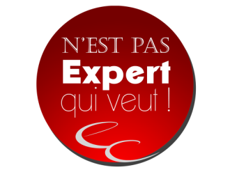 Les experts-comptables en guerre contre l'exercice illégal