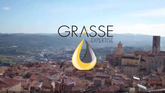 "Grasse perspective" : une marque collective