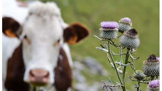 Contrat de Transition Écologique CTE : faciliter une activité économique respectueuse de l'environnement
