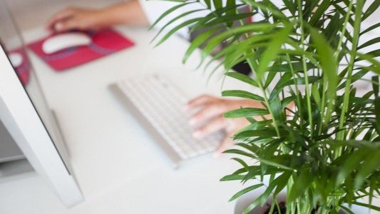 Conférence : Le télétravail : entre efficacité et charge mentale, la bonne route à suivre !