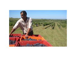 In vino aeternitas