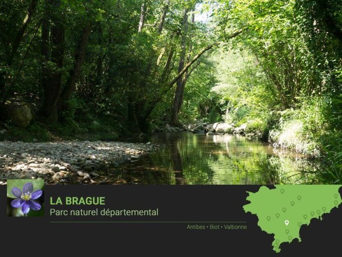 Réouverture des parcs (…)