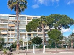 Mieux protéger les arbres en ville : Cannes déploie un barème d'évaluation 