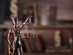 Avocate, Bâtonnière... : la proposition de féminisation adoptée par le CNB 