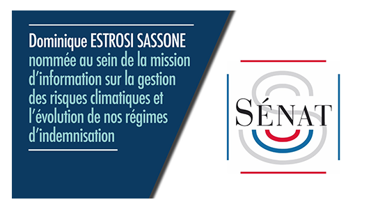Dominique Estrosi Sassone nommée au Sénat au sein de la mission d'information sur la gestion des risques climatiques 