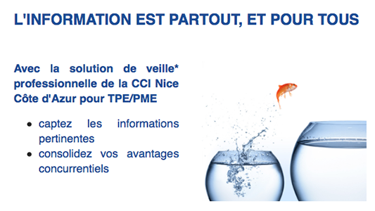 FORMATION CCI NCA : Faire de la veille comme les grandes entreprises, c'est possible !