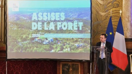 Lancement des Assises de la forêt « Quel avenir pour la forêt dans le territoire maralpin ? »