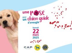 Mobilisation "Une Rose pour un Chien Guide" ce samedi 22 mars