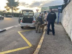 Sécurité routière et lutte antistupéfiants : Bilan des derniers contrôles renforcés dans les Alpes-Maritimes
