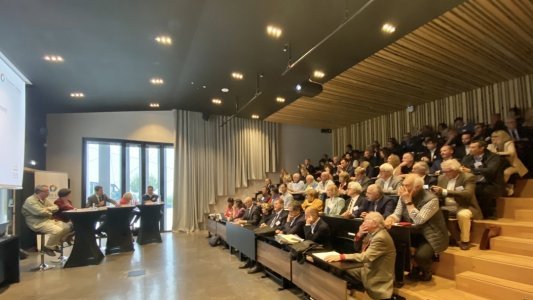 Cannes se dote d'un "Conseil de développement Cannes Lérins" pour favoriser les échanges entre élus et société civile 