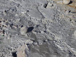  Reconnaissance de l'état de catastrophe naturelle pour les communes de Pégomas et Menton