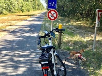 En région Sud, les touristes étrangers reviennent