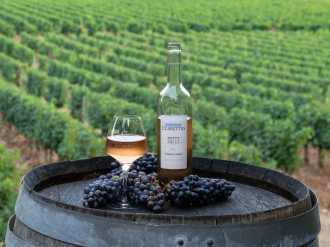 Château Clarettes, l'alliance de la tradition et du renouveau viticole au cœur du Var