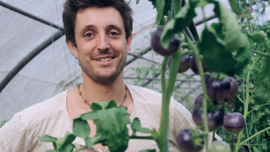 "Entre miel et terre" : la belle histoire de julien le maraîcher bio !