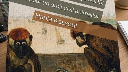 Deux ouvrages à lire pour mieux comprendre l'évolution de la place des animaux dans le droit