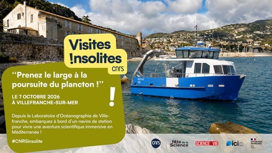 Fête de la science : Deux laboratoires du CNRS proposent deux expériences immersives et inédites