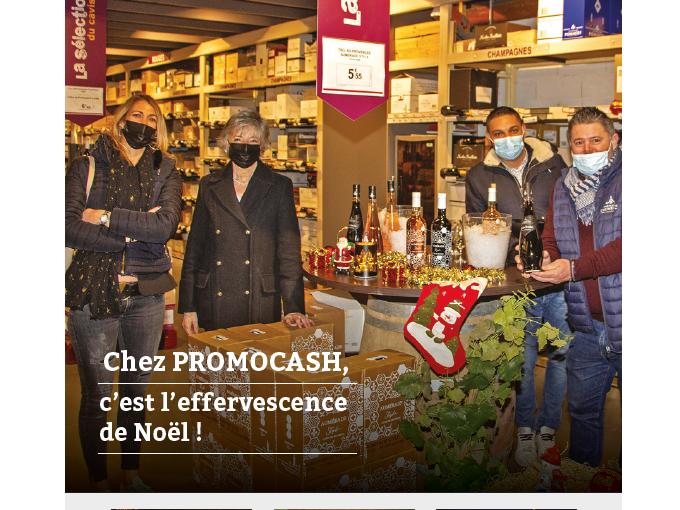 Petites Affiches VAR (…)