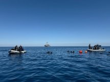 Un haut niveau d'interopérabilité pour le Capricorne en Méditerranée