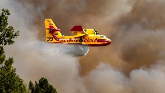 Incendies - Pour Guillaume Decard, "il faut cesser le cycle émotion–rapport–oubli"