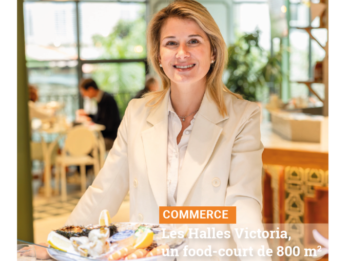 Petites Affiches VAR (…)