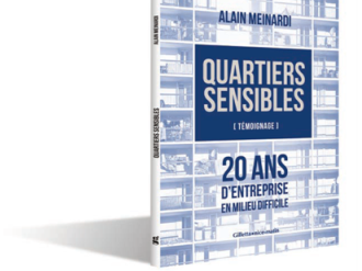 QUARTIERS SENSIBLES 20 ANS D'ENTREPRISE EN MILIEU DIFFICILE Par Alain MEINARDI