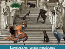 Colloque CERDP : L'animal saisi par les procédures
