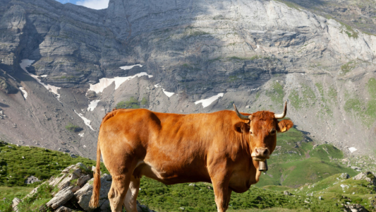 L'essentiel de l'actualité de ce jeudi 8 janvier