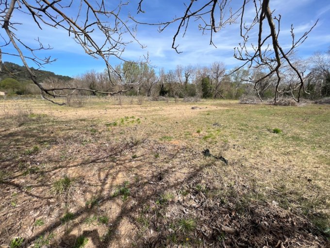 Neyrat Immobilier cultive