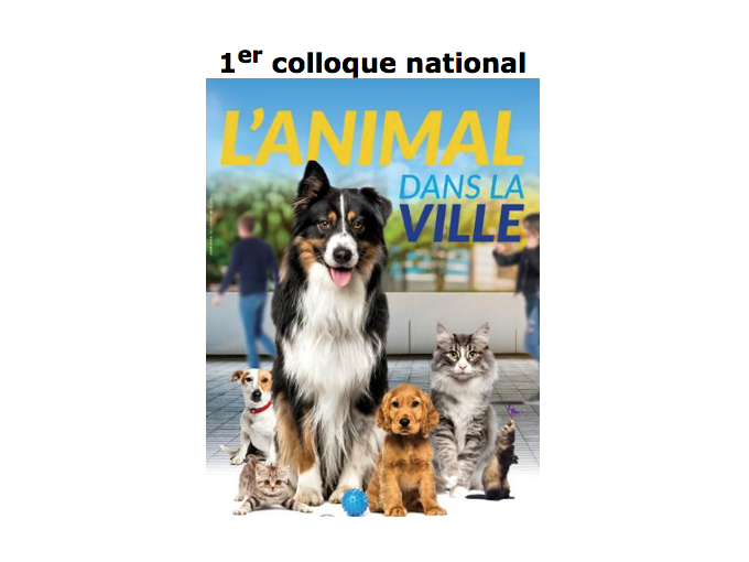 Nice accueille le 1er (…)