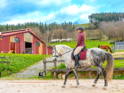 La responsabilité du gérant de centre équestre
