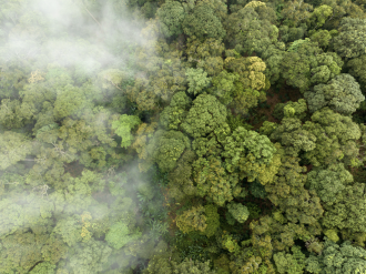 Colombie : Vers une économie durable soutenue par la taxonomie verte