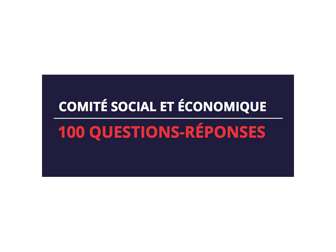 Comité Social et Économiq