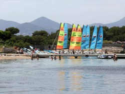 Environnement : la base nautique de l'île Sainte-Marguerite à Cannes n'est plus à vendre 