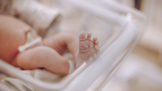 Nice, 1ère commune de France à dématérialiser les déclarations de naissance, reconnaissance et de décès 