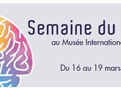 Tout tout tout, vous saurez tout sur le cerveau !