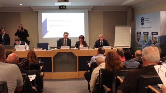  Alpes-Maritimes : les maires se mobilisent davantage autour des enjeux forestiers